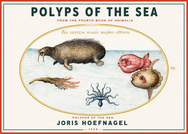 Joris Hoefnagel Polyps of the Sea No3 - Poster