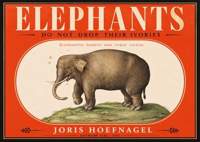 Joris Hoefnagel Elephant Does Not Drop Its Ivories No2 - Poster