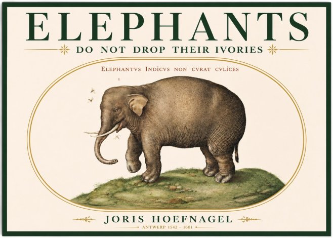 Joris Hoefnagel Elephant Does Not Drop Its Ivories No3 - Poster