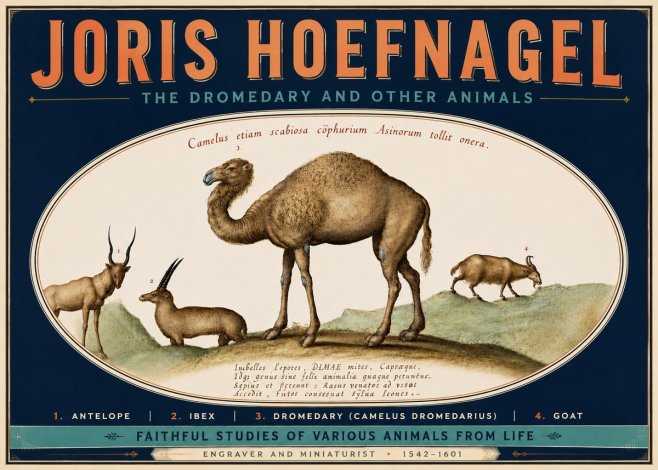 Joris Hoefnagel The Dromedary and Other Animals from Studies of Nature No6 - Poster
