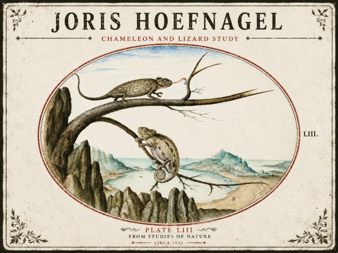 Joris Hoefnagel Chameleon and Lizard No5 - Poster