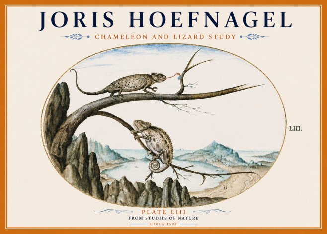 Joris Hoefnagel Chameleon and Lizard No6 - Poster