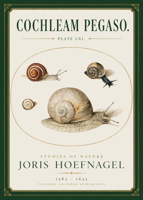 Joris Hoefnagel The Four Snails No3 - Poster