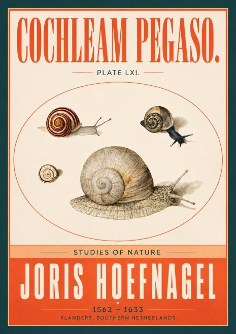 Joris Hoefnagel The Four Snails No4 - Poster