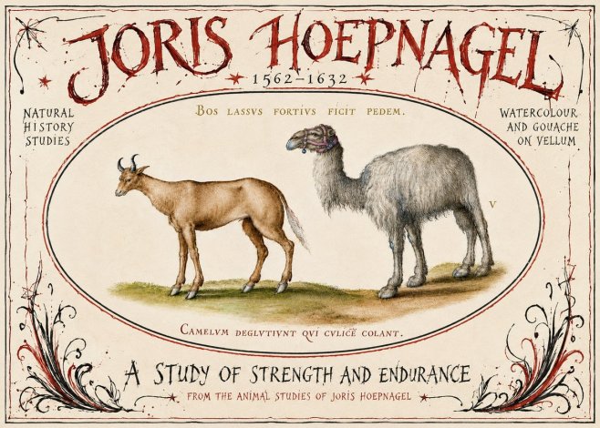 Joris Hoefnagel A Study of Strength and Endurance No6 - Poster