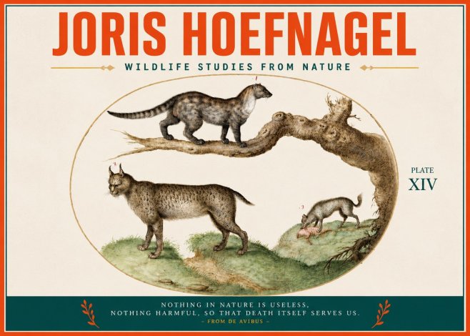 Joris Hoefnagel Wildlife Studies from Nature - Plate Xiv No3 - Poster