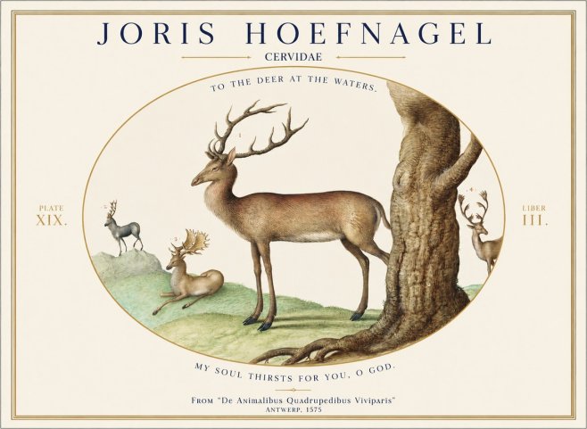 Joris Hoefnagel Deer at the Fountains No2 - Poster