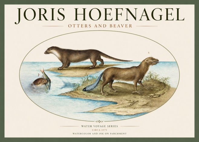 Joris Hoefnagel The Four-footed Creatures No3 - Poster
