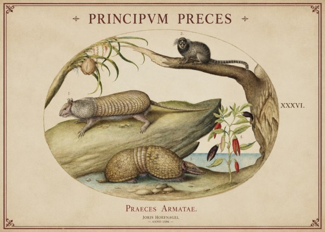 Joris Hoefnagel Praeces Armatae. No1 - Poster