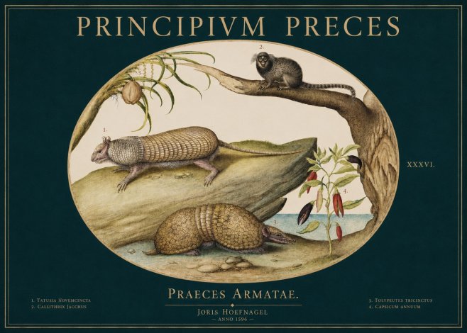 Joris Hoefnagel Praeces Armatae. No3 - Poster