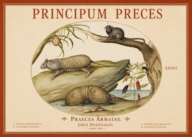 Joris Hoefnagel Praeces Armatae. No4 - Poster