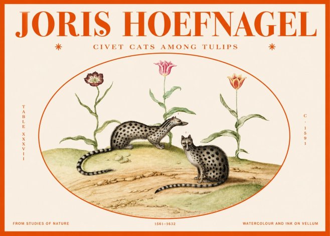 Joris Hoefnagel Civet Cats Among Tulips No2 - Poster