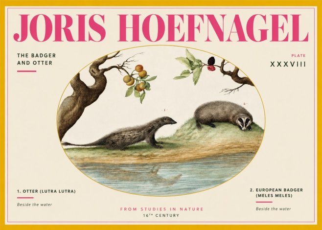 Joris Hoefnagel Studies of Animals and Nature Xxxxiii No4 - Poster