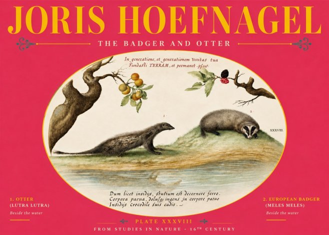 Joris Hoefnagel Studies of Animals and Nature Xxxxiii No6 - Poster