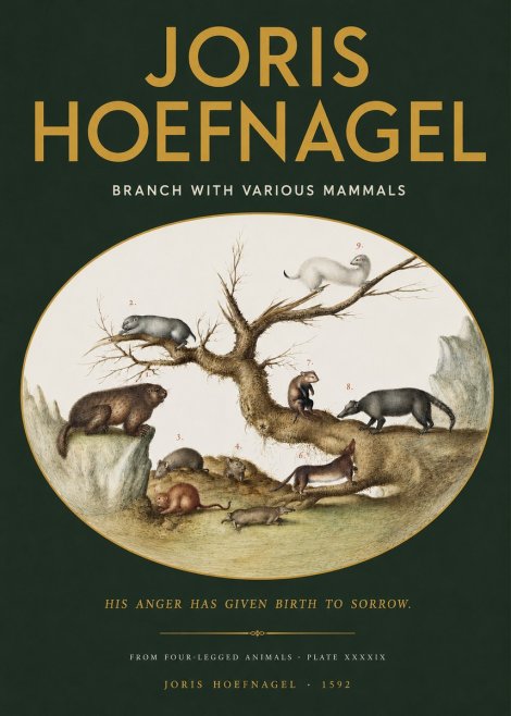 Joris Hoefnagel Branch with Various Mammals No2 - Poster
