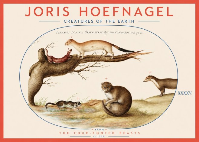 Joris Hoefnagel Creatures of the Earth I No3 - Poster