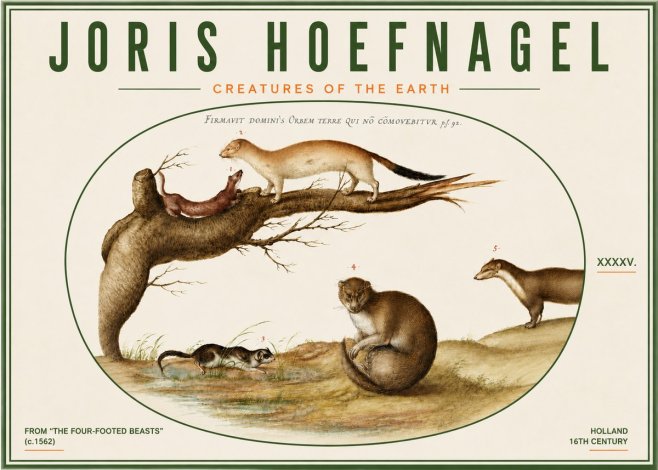 Joris Hoefnagel Creatures of the Earth I No6 - Poster