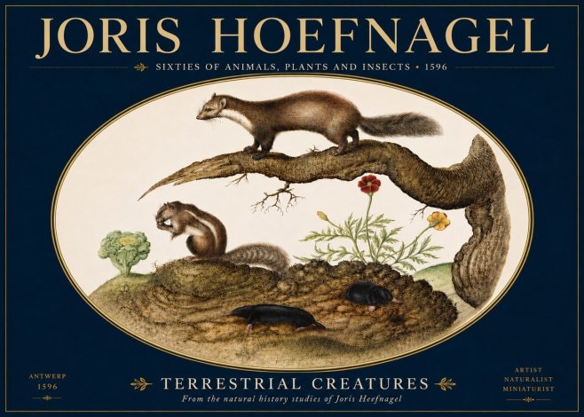 Joris Hoefnagel Terrestrial Creatures No5 - Poster