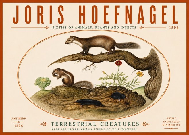Joris Hoefnagel Terrestrial Creatures No6 - Poster