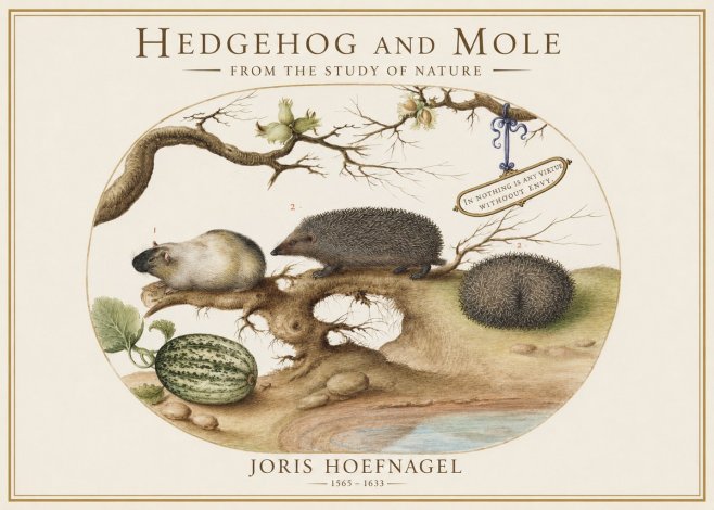 Joris Hoefnagel Hedgehog and Mole No1 - Poster