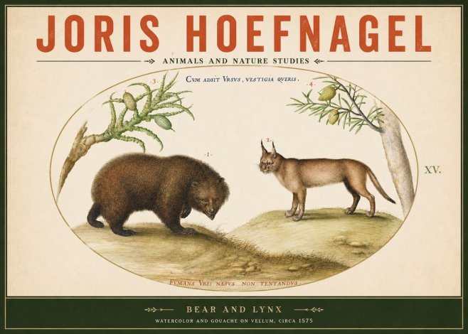 Joris Hoefnagel Bear and Lynx No2 - Poster