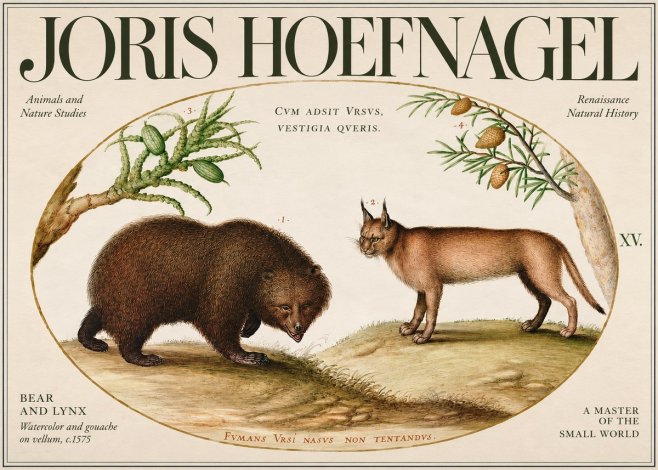 Joris Hoefnagel Bear and Lynx No3 - Poster