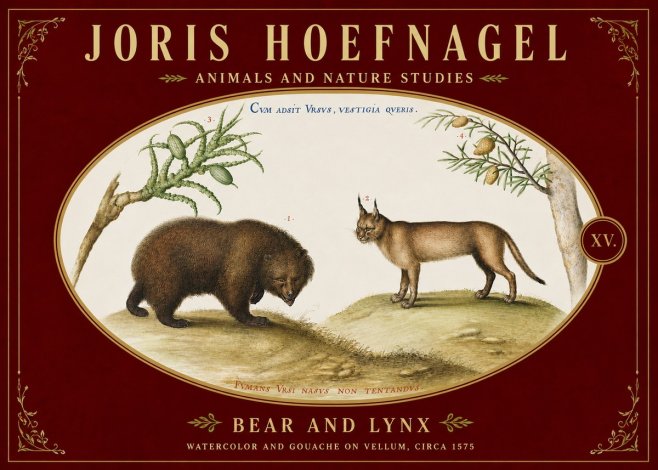 Joris Hoefnagel Bear and Lynx No5 - Poster