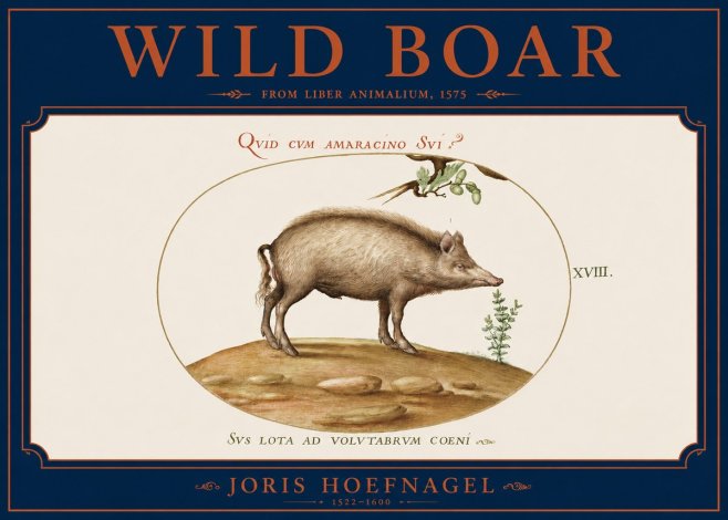 Joris Hoefnagel Qvid Cvm Amaracino Svi? No4 - Poster