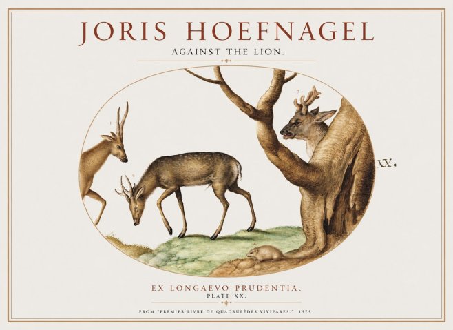 Joris Hoefnagel Do Not Rush Against the Lion. No5 - Poster
