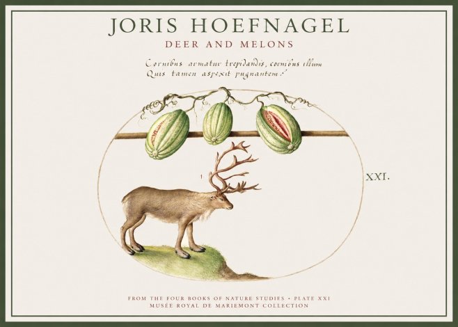 Joris Hoefnagel Arctic Nature Study No4 - Poster