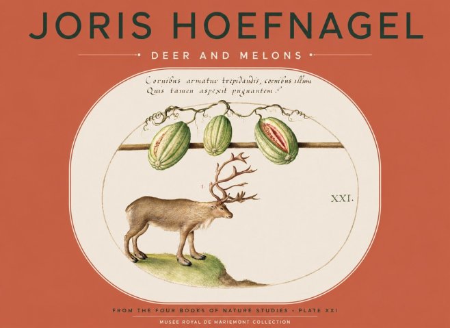 Joris Hoefnagel Arctic Nature Study No5 - Poster
