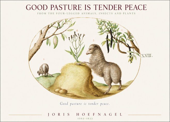 Joris Hoefnagel Good Pasture Is Tender Peace. No1 - Poster