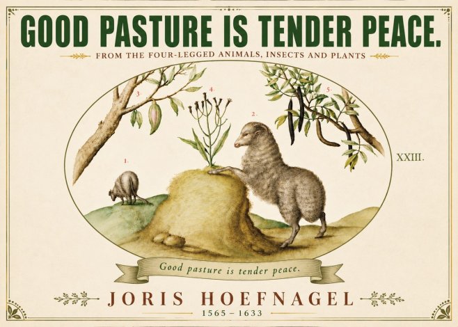 Joris Hoefnagel Good Pasture Is Tender Peace. No6 - Poster