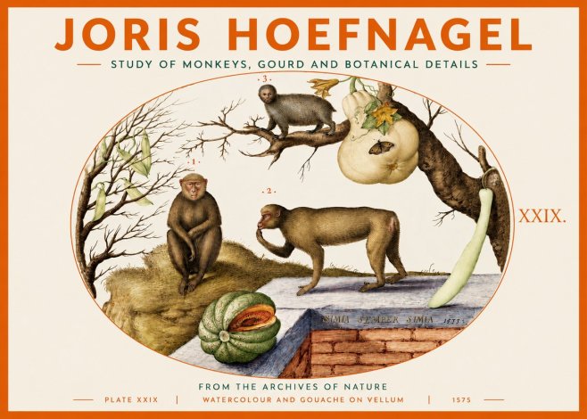 Joris Hoefnagel But Always a Monkey, Always a Monkey. Plate Xxix No4 - Poster