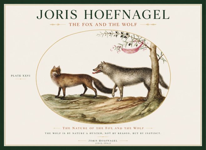 Joris Hoefnagel The Fox and the Wolf No1 - Poster