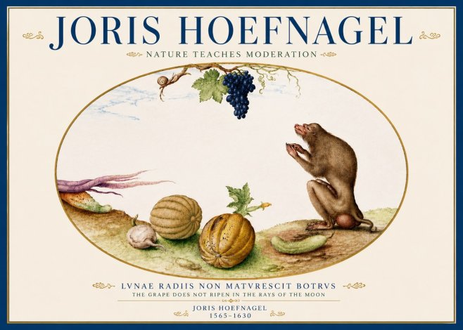 Joris Hoefnagel Nature Teaches Moderation No5 - Poster