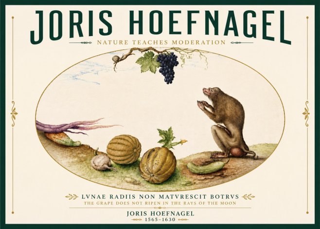 Joris Hoefnagel Nature Teaches Moderation No6 - Poster