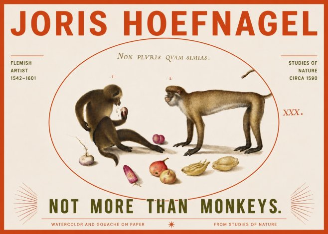 Joris Hoefnagel Not More Than Monkeys No4 - Poster