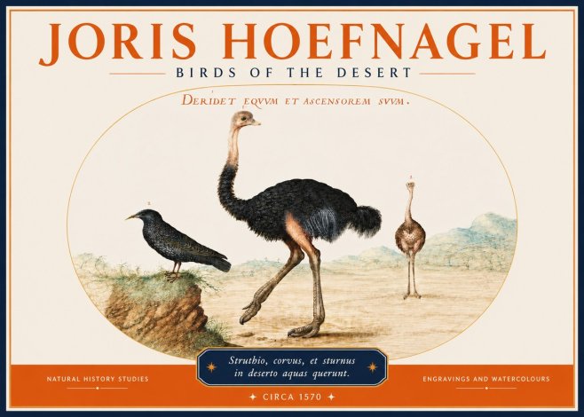 Joris Hoefnagel Birds of the Desert No3 - Poster