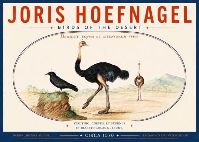 Joris Hoefnagel Birds of the Desert No6 - Poster
