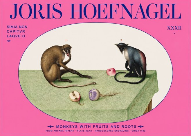 Joris Hoefnagel Monkeys with Fruits and Roots No2 - Poster