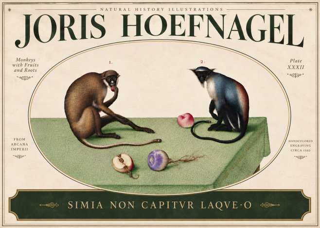 Joris Hoefnagel Monkeys with Fruits and Roots No5 - Poster