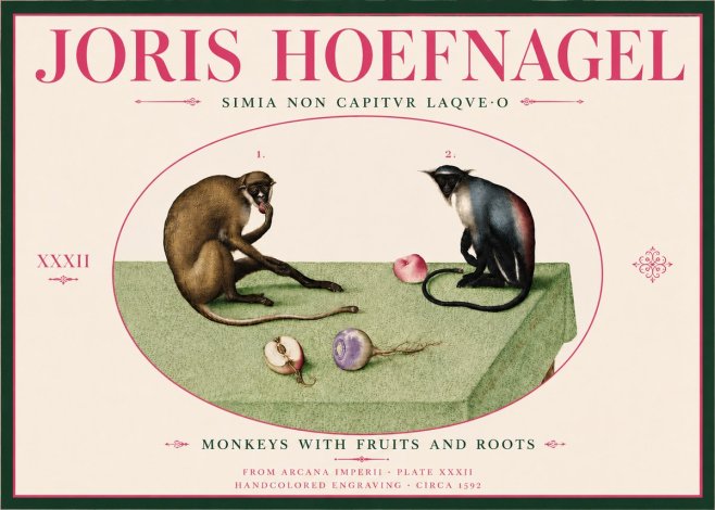 Joris Hoefnagel Monkeys with Fruits and Roots No6 - Poster
