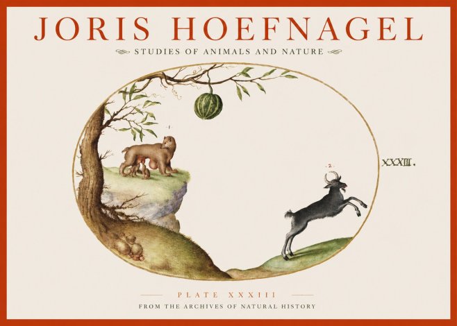 Joris Hoefnagel Plate Xxxiii No2 - Poster