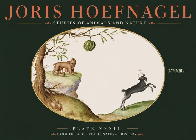 Joris Hoefnagel Plate Xxxiii No4 - Poster
