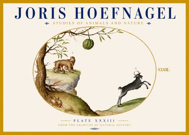 Joris Hoefnagel Plate Xxxiii No5 - Poster