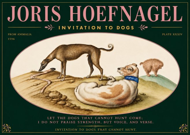 Joris Hoefnagel Invitation to Dogs No5 - Poster