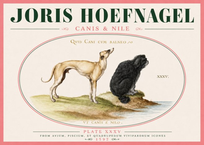 Joris Hoefnagel Neither Can a Dog Live in Baths No6 - Poster