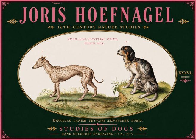 Joris Hoefnagel Studies of Dogs No6 - Poster