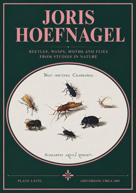 Joris Hoefnagel Scarabeus Aqvilä Qvaerit. No3 - Poster